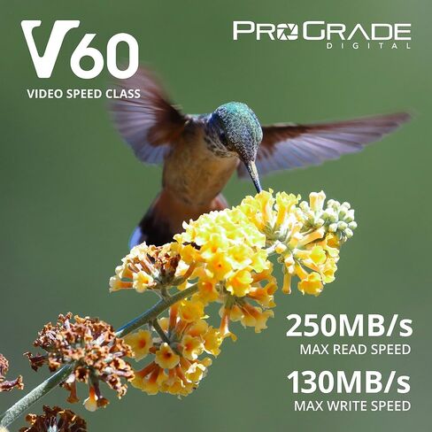SD UHS-II 128GB Card V60 –Up to 130MB/s Write Speed and 250 MB/s Read Speed | for Professional Vloggers, Filmmakers, Photographers & Content Curators – by Prograde Digital in Saudi Arabia
