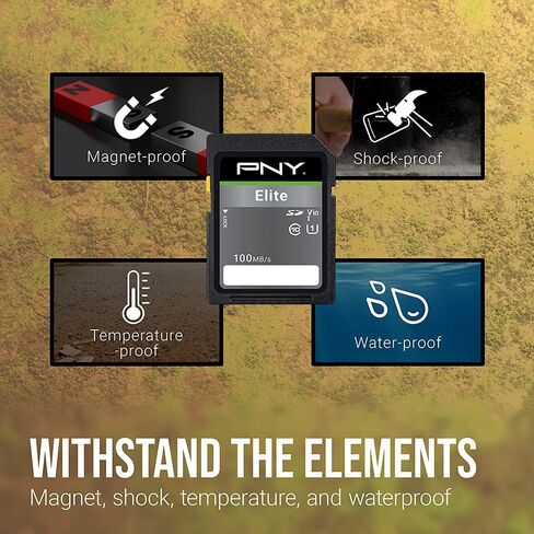 بطاقة ذاكرة فلاش PNY 16GB Elite Class 10 U1 V10 SDHC 5 عبوات - قراءة 100 ميجابايت/ثانية، الفئة 10، U1، V10، Full HD، UHS-I، SD بالحجم الكامل in Kuwait