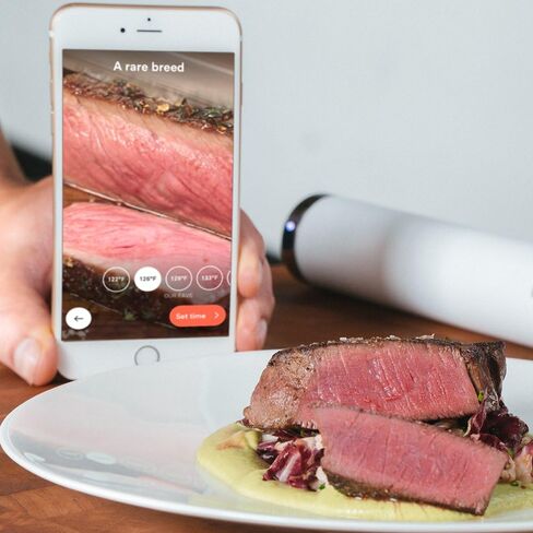 Breville Joule Sous Vide, Stainless Steel, CS10001 in Saudi Arabia