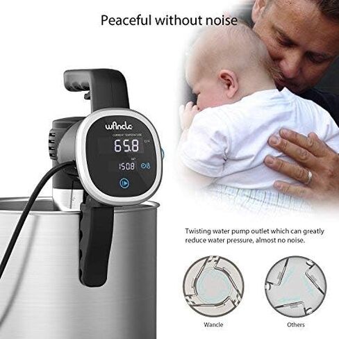 طباخ Sous Vide، جهاز تدوير الغمر الحراري Wancle، مع كتاب الطبخ الإلكتروني للوصفات، مؤقت رقمي دقيق لدرجة الحرارة، فائق الهدوء، 850 واط، 120 فولت، فولاذ مقاوم للصدأ/أسود in Saudi Arabia