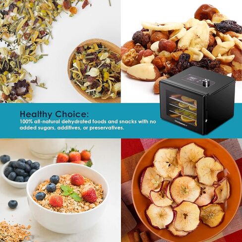 Elite Gourmet EFD308 Food Dehydrator, Stainless Steel Trays Food Dehydrator, Adjustable Temperature Controls, Jerky Herbs Fruit Veggies Snacks in Saudi Arabia
