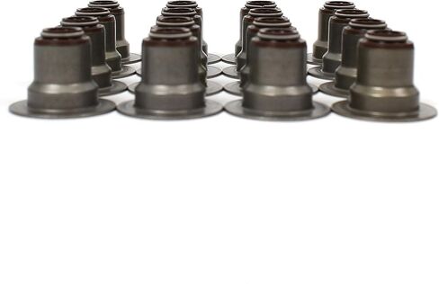 مجموعة ختم صمام سي ان اس (16 فولت) متوافقة مع 2001-16 GM V8 فورتيك 4.8 لتر 5.3 لتر 6.0 لتر 6.2 لتر شيفروليه سيلفرادو جي ام سي سافانا سييرا يوكون ايسوزو اسيندر in Kuwait