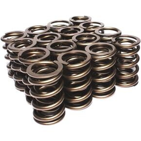 COMP Cams 943-16 Race Endurance 1.565" OD Dual Springs; 1.900" Installed Height; 16 Springs in Saudi Arabia