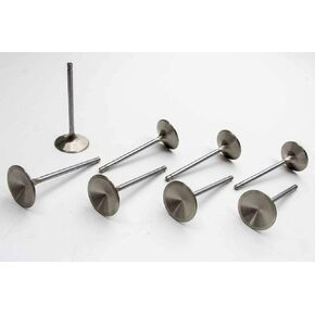 Manley 116378 Exhaust Valve in Kuwait