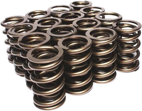 COMP Cams 943-16 Race Endurance 1.565" OD Dual Springs; 1.900" Installed Height; 16 Springs in Saudi Arabia