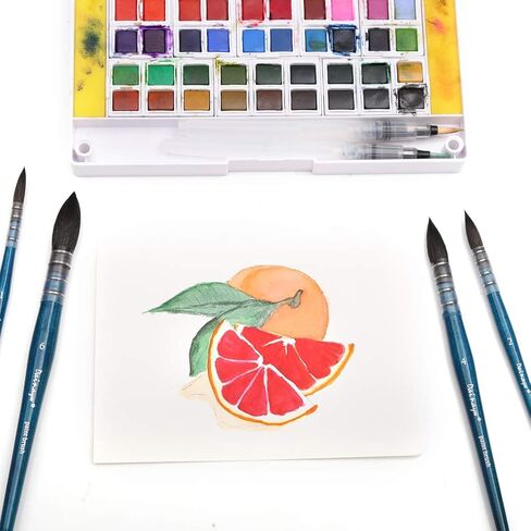 Dainayw Professional Mop Watercolor Brushes, Squirrel Hair & Horse Hair Synthetic Blend Round Paint Brush Set for Art Painting, Gouache, 4 Size, Blue Handle in Kuwait