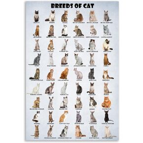HLLNWB Breeds of Popular Pet Dog Poster Dog Lovers Animals Poster Educational Charts Gifts for Children (Unframe 16x24inch) in Saudi Arabia