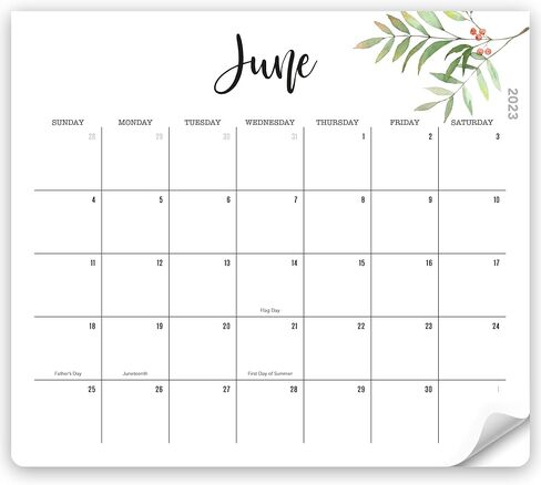 Beautiful 2023 Magnetic Calendar for Fridge - Runs Until July 2024 - The Perfect Monthly Calendar With Greenery Designs for Easy Planning in Kuwait