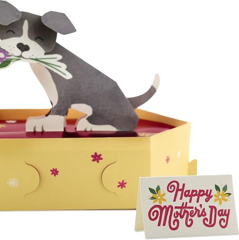 Hallmark Paper Wonder Mother's Day Pop Up Card for Mom, Daughter, Sister, Friend (Love You A Latte) in Saudi Arabia