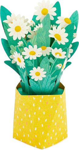 Hallmark Paper Wonder Displayable Pop Up Mothers Day Card for Mom (Daisy Bouquet) in Saudi Arabia