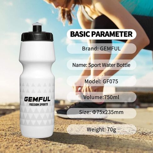GEMFUL Bike Water Bottle BPA Free 750 ml 2 Pack in Saudi Arabia