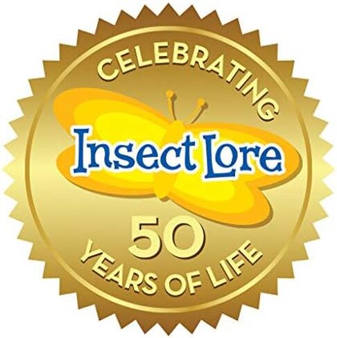 Butterfly Mini Garden Gift Set with Live Cup of Caterpillars – Life Science & STEM Education - Best Birthday Gift, for Boys & Girls Age 4 5 6 7 8 Years Old in Saudi Arabia