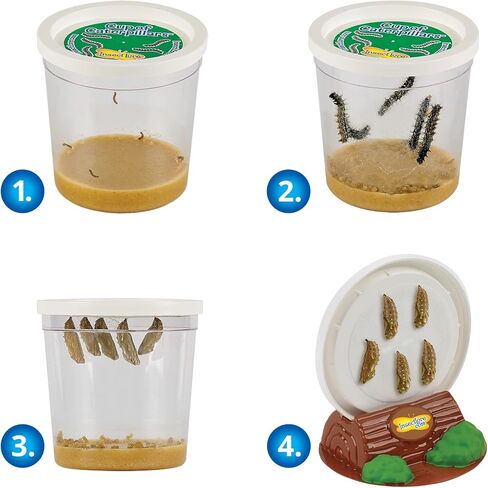 Butterfly Mini Garden Gift Set with Live Cup of Caterpillars – Life Science & STEM Education - Best Birthday Gift, for Boys & Girls Age 4 5 6 7 8 Years Old in Saudi Arabia