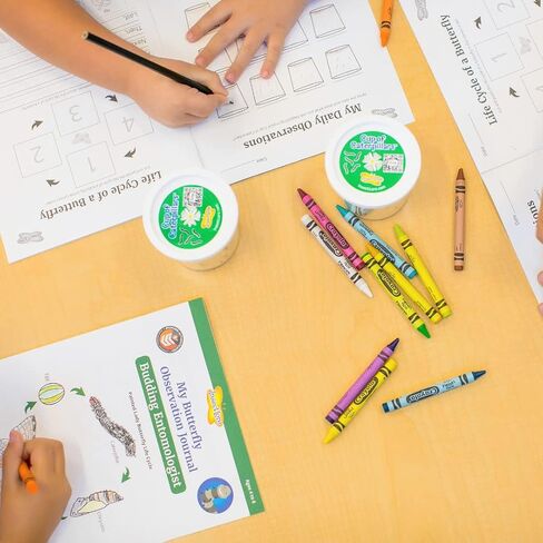 Insect Lore Butterfly Garden | Original 12" Habitat and Two Cups of Live Baby Caterpillars | Life Science & STEM Education Kit in Saudi Arabia