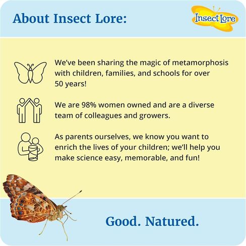 Insect Lore Butterfly Garden | Original 12" Habitat and Two Cups of Live Baby Caterpillars | Life Science & STEM Education Kit in Saudi Arabia