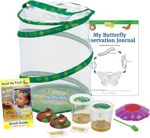 Insect Lore Butterfly Garden | Original 12" Habitat and Two Cups of Live Baby Caterpillars | Life Science & STEM Education Kit in Saudi Arabia