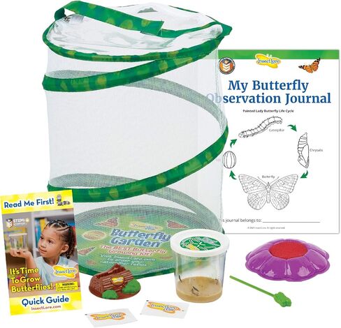 Insect Lore Butterfly Garden | Original 12" Habitat and Two Cups of Live Baby Caterpillars | Life Science & STEM Education Kit in Saudi Arabia