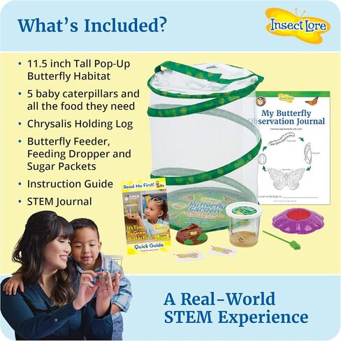 Insect Lore Butterfly Garden | Original 12" Habitat and Two Cups of Live Baby Caterpillars | Life Science & STEM Education Kit in Saudi Arabia