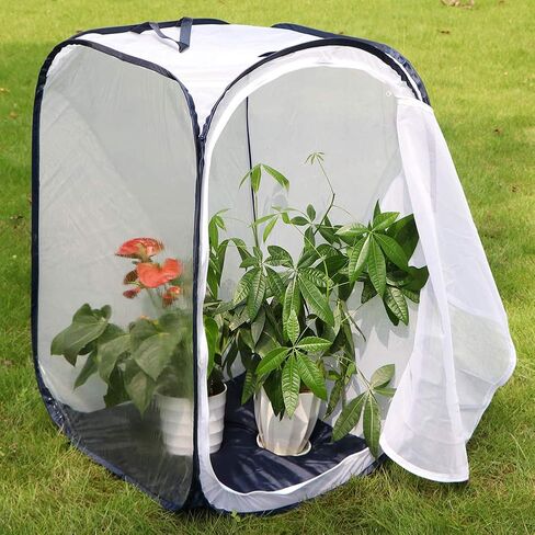 RESTCLOUD 36" Large Monarch Butterfly Habitat, Giant Collapsible Insect Mesh Cage Terrarium Pop-up 24 x 24 x 36 Inches in Kuwait