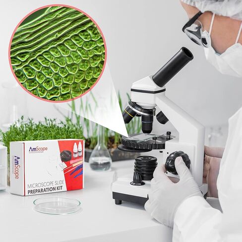مجموعة إعداد شرائح المجهر SP-14 من أمسكوب بما في ذلك البقع in Kuwait
