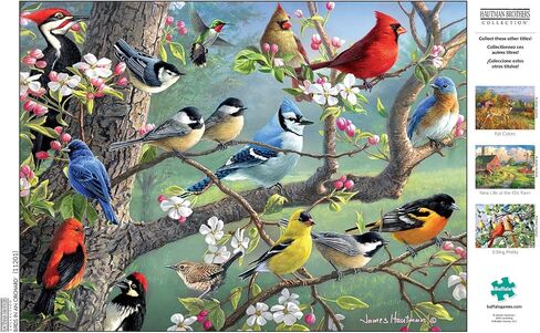 Buffalo Games - Hautman Brothers - Birds in an Orchard - 1000 Piece Jigsaw Puzzle in Saudi Arabia