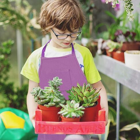 16Pcs Kids Gardening Tools Outdoor Toys Set Backyard Play with Wheelbarrow, Apron, Watering Can and More Educational STEM Learning Pretend Toys Outdoor Indoor for Toddlers Kids Boys Girls in Kuwait
