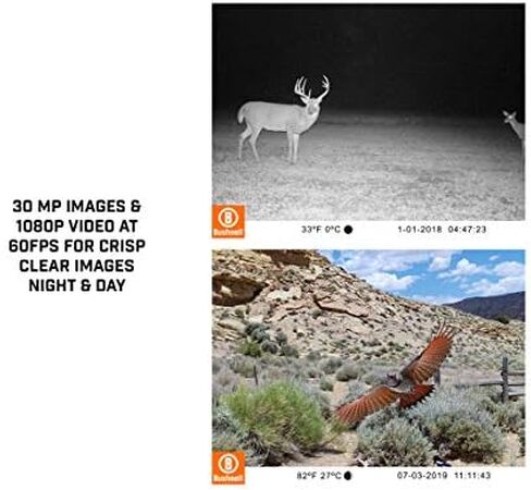 Bushnell 30MP CORE 1080p Trail Camera, Dual Sensor, no Glow_119977C in Saudi Arabia