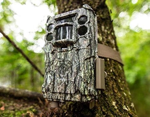 Bushnell 30MP CORE 1080p Trail Camera, Dual Sensor, no Glow_119977C in Saudi Arabia