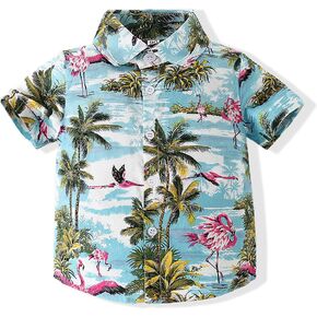Baby Boy Button Down Hawaiian Shirts Short Sleeve Cool Cartoon Print Aloha Dress Tops T-Shirt