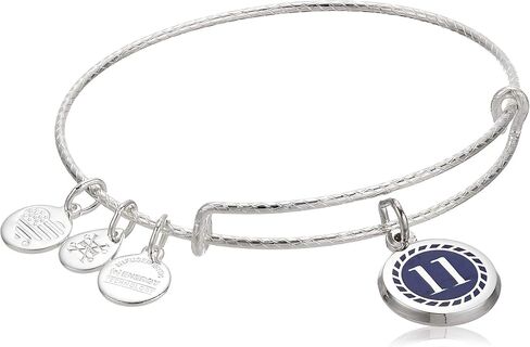 علم أرقام Alex and Ani Color Infusion أحد عشر EWB، SS، فضي لامع، مقاس واحد (A20EBNUM11SS) in Saudi Arabia