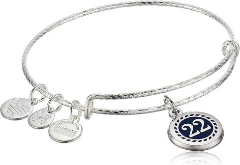 Alex and Ani Color Infusion Numerology Twenty Two EWB, SS, Shiny Silver, One Size (A20EBNUM12SS) in Saudi Arabia