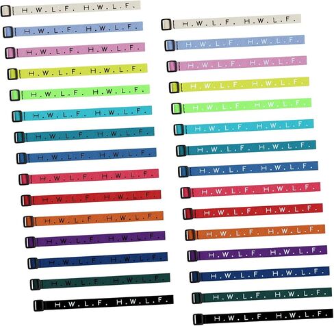 FUNRUN JEWELRY 30Pcs WWJD HWLF Bracelets What Would Jesus Do He Would Love First Woven Wristbands for Men Women Religious Christian W.W.J.D Bracelet for Fundraisers in Saudi Arabia