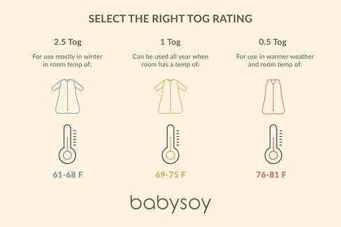 Babysoy Long Sleeve Pattern Sleep Sack Wearable Blanket (0-6 Months, Apples) in Saudi Arabia