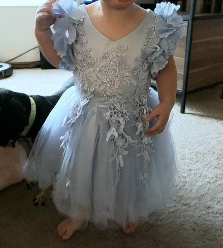 Weileenice Flower Girl Lace Dress Pageant Kids Wedding Christmas Holiday Party Dresses in Kuwait