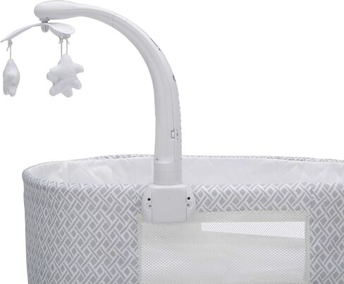 Delta Children Sweet Slumber Bassinet, Garden Path in Saudi Arabia