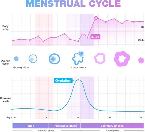 Easy@Home Ovulation Test Strips, 25 Pack Fertility Tests | Ovulation Predictor Kit, Powered by Premom Ovulation Predictor iOS and Android App, 25 LH Strips in Saudi Arabia