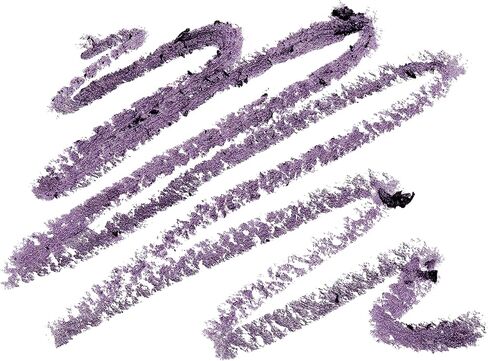 قزم. مستحضرات التجميل No Budge Shadow Stick، طويل الأمد، ظلال عيون معدنية مقاومة للتلطخ، ذهبي وردي، 0.056 أونصة (1.6 جم) in Saudi Arabia