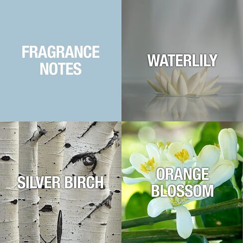 Alfred Sung Women's Perfume Fragrance, Sung by Alfred Sung, Eau de Toilette Spray, 1 Fl Oz in Saudi Arabia