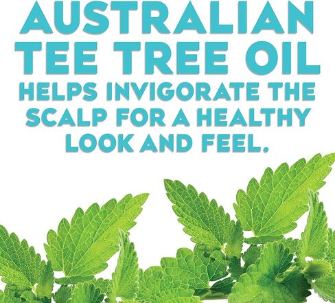 شامبو وبلسم مرطب + شجرة الشاي والنعناع من أو جي إكس، 750 مل (مجموعة من قطعتين) in Kuwait