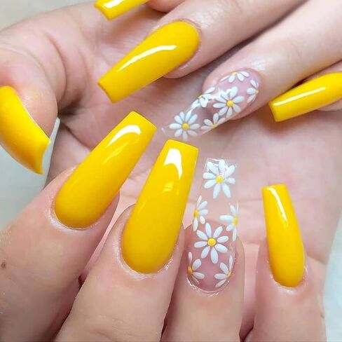 مجموعة لوحات ختم الاظافر مكونة من 6 قطع + 1 ختم + 1 مكشطة فراشة وزهرة وريش وزهور القيقب والورود وقالب لوحة اظافر للنساء بتصميم كلاسيكي عصري in Kuwait