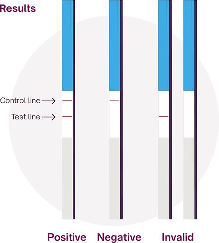 Natural Cycles Pregnancy Tests Over 99% Accurate Results in Minutes -10 Tests in Kuwait
