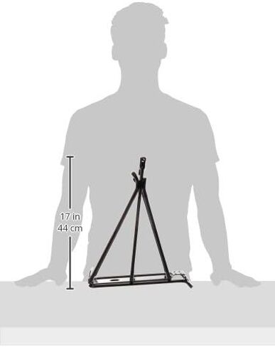 Topeak BabySeat II Disc Mount Bike Rack, 29-Inch in Saudi Arabia