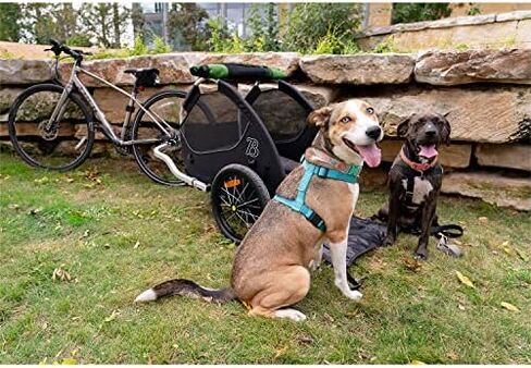 Burley Tail Wagon® Pet Bike Trailer in Saudi Arabia