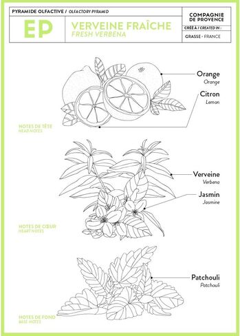 Compagnie de Provence Savon de Marseille صابون سائل فائق النقاء - خالي من العطور - زجاجة مضخة زجاجية سعة 16.7 أونصة سائلة in Saudi Arabia