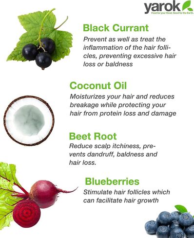 Yarok Feed Your Roots Organic Mousse, 8oz, Made from Black Currant, Coconut Oil, Beet Root, and Blueberries, 100% Vegan, Free from Gluten, Sulfate, Alcohol & Paraben, Cruelty-Free in Saudi Arabia