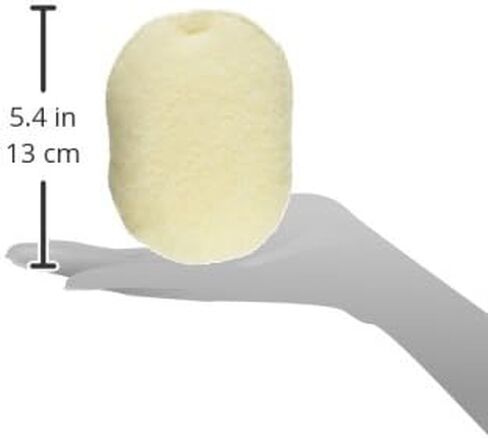 إسفنجة سكين سبونج من ذا بودي شوب in Kuwait