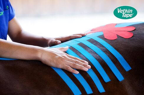 VetkinTape® Veterinary Kinesiology Tape Black | Kinesiology Tape for Horses & Dogs | Equine & Canine Kinesiotape | Latex Free and TÜV Quality Mark Certified Ktape | 4 inch | Pack of 1 Roll in Saudi Arabia