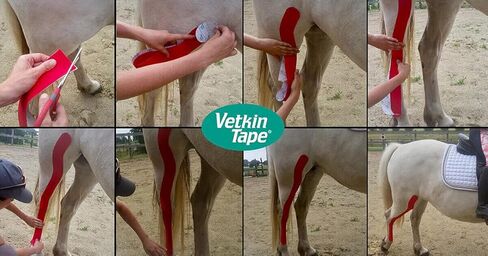 VetkinTape® Veterinary Kinesiology Tape Black | Kinesiology Tape for Horses & Dogs | Equine & Canine Kinesiotape | Latex Free and TÜV Quality Mark Certified Ktape | 4 inch | Pack of 1 Roll in Saudi Arabia