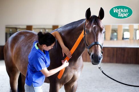 VetkinTape® Veterinary Kinesiology Tape Black | Kinesiology Tape for Horses & Dogs | Equine & Canine Kinesiotape | Latex Free and TÜV Quality Mark Certified Ktape | 4 inch | Pack of 1 Roll in Saudi Arabia