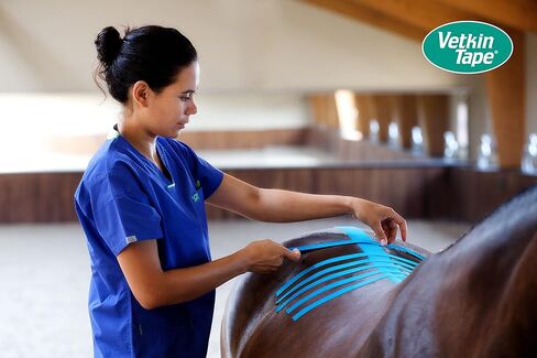 VetkinTape® Veterinary Kinesiology Tape Black | Kinesiology Tape for Horses & Dogs | Equine & Canine Kinesiotape | Latex Free and TÜV Quality Mark Certified Ktape | 4 inch | Pack of 1 Roll in Saudi Arabia